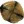 Chiastolith