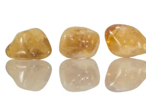 Citrin Madeira