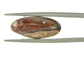 Feueropal