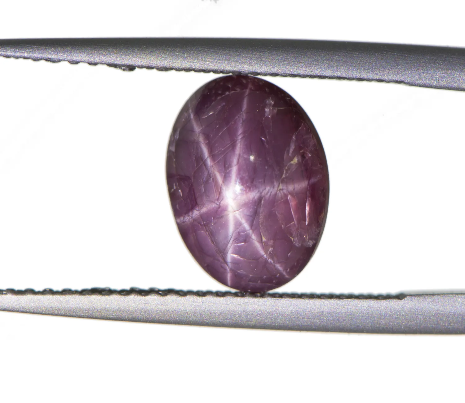Sternrubin